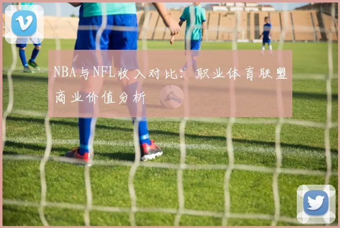 NBA与NFL收入对比：职业体育联盟商业价值分析