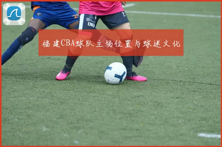 福建CBA球队主场位置与球迷文化