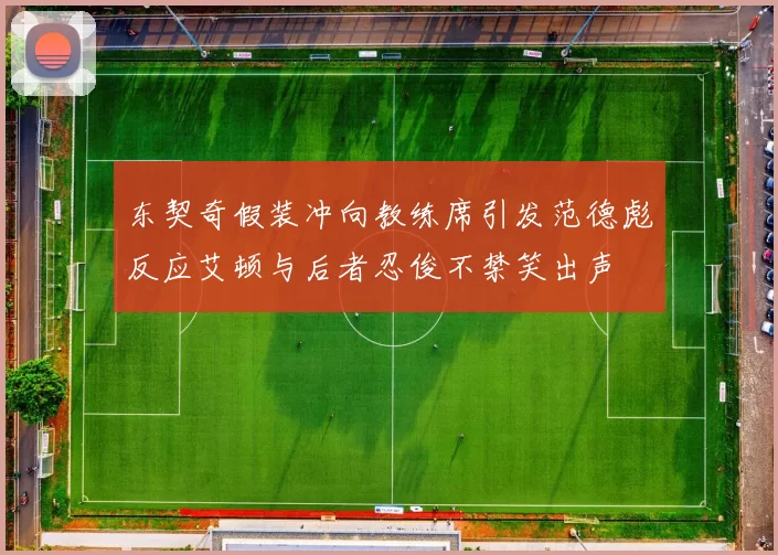 东契奇假装冲向教练席引发范德彪反应艾顿与后者忍俊不禁笑出声