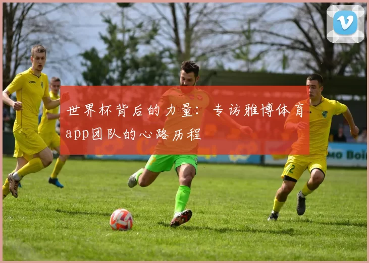 世界杯背后的力量:专访雅博体育app团队的心路历程