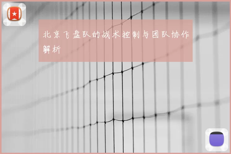 北京飞盘队的战术控制与团队协作解析