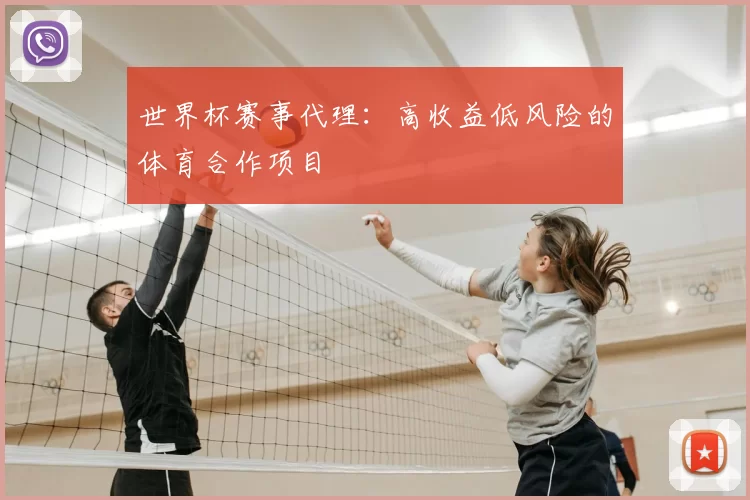 世界杯赛事代理：高收益低风险的体育合作项目