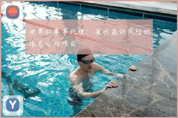 世界杯赛事代理：高收益低风险的体育合作项目