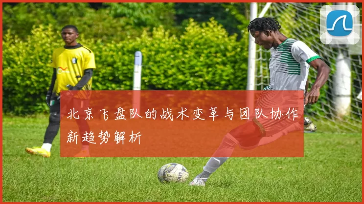 北京飞盘队的战术变革与团队协作新趋势解析